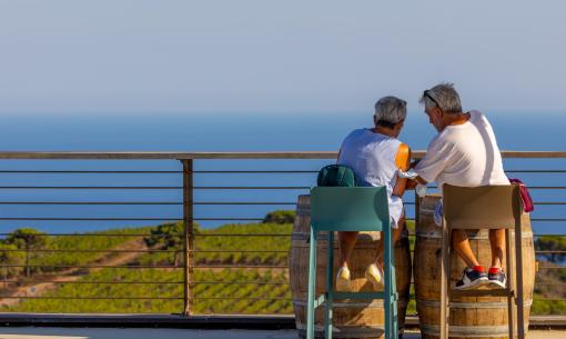tenutadelleripalte de urlaub-auf-der-insel-elba-mit-weinprobe 004