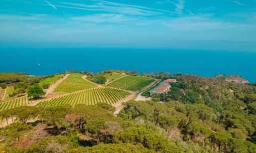 tenutadelleripalte en christmas-offer-tasting-in-winery 005