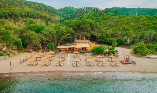 Spiaggia con ombrelloni e bar, circondata da vegetazione rigogliosa.