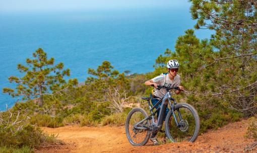 tenutadelleripalte en vacation-elba-island-e-bike-with-discount-in-apartment-or-hotel 006