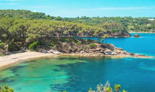 tenutadelleripalte de angebot-fuer-pfingsten-in-der-toskana-auf-der-insel-elba 007