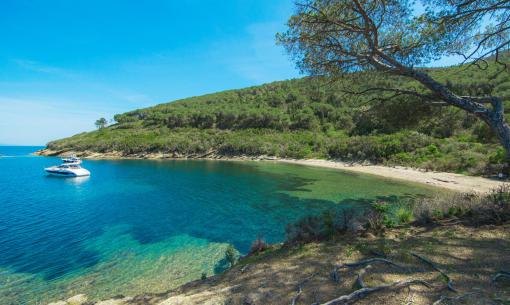 tenutadelleripalte en june-offer-beach-elba-island 004