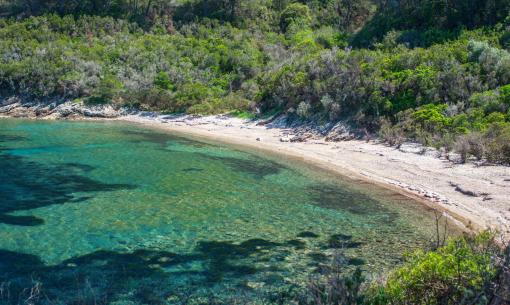 tenutadelleripalte en june-offer-beach-elba-island 005