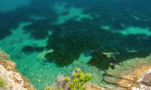 tenutadelleripalte it offerta-spiaggia-a-giugno-isola-d-elba 008