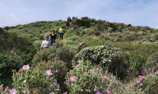 Hikers among blooming hills, immersed in nature under a clear sky.