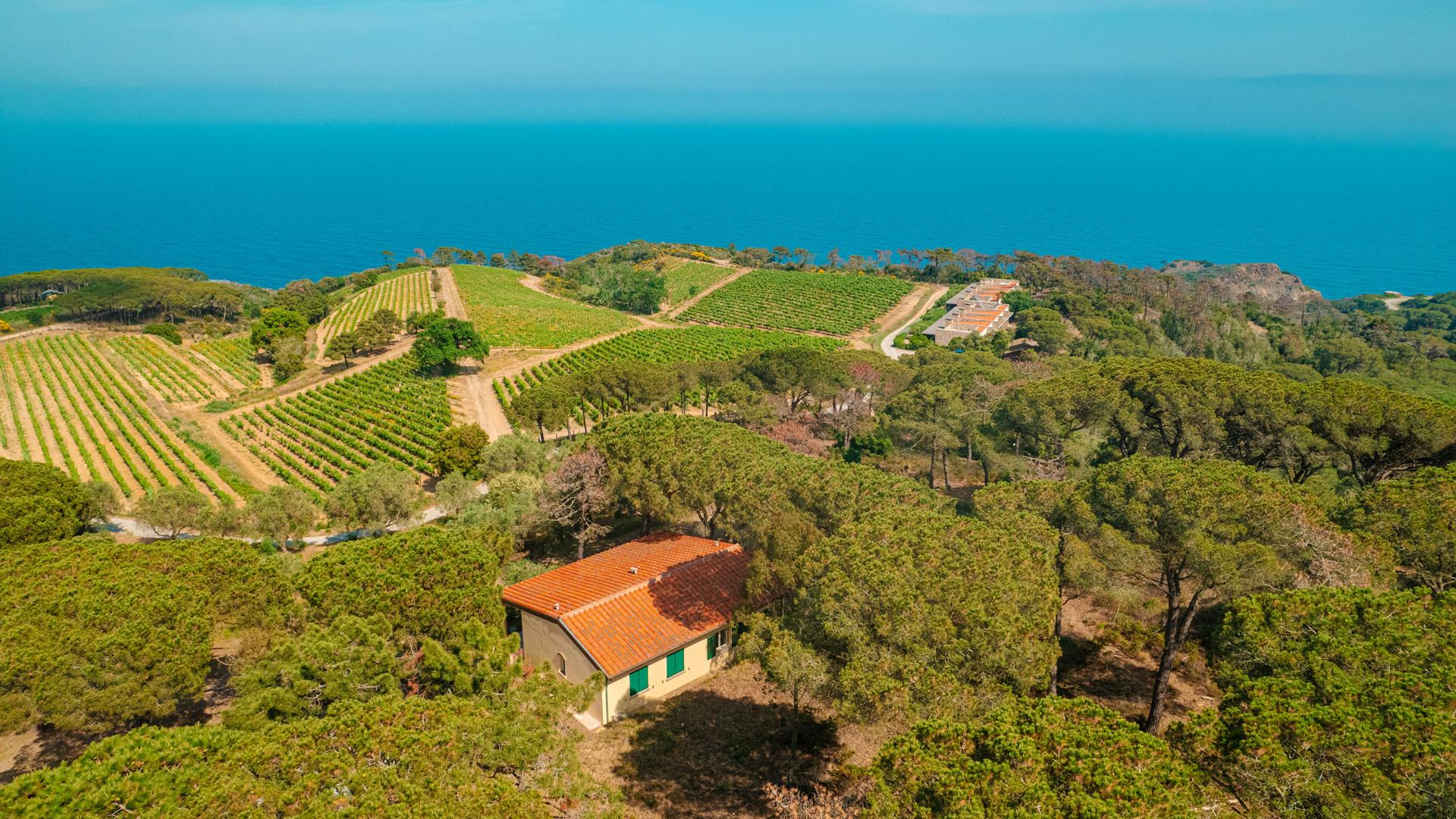 tenutadelleripalte de villa-erica 003