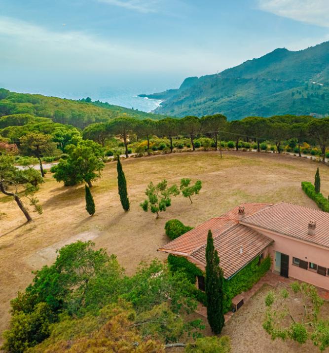 tenutadelleripalte de villa-mimosa 005