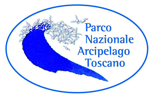 Blue logo with birds, evokes nature and freedom.